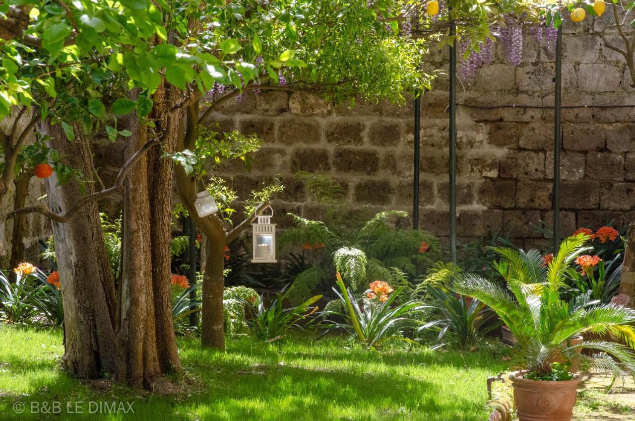 Le Dimax Bed & Breakfast Sant'Agnello Ngoại thất bức ảnh